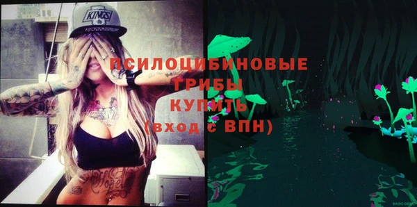 а пвп мука Верхний Тагил