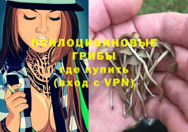 а пвп мука Верхний Тагил