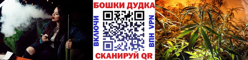 МЕГА вход Кандалакша Канабис планчик
